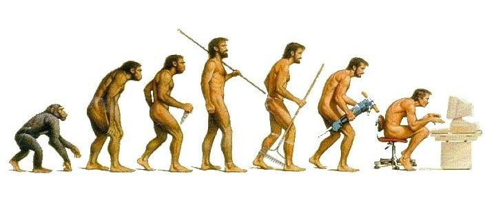 Evolution of ape through man at computer desk